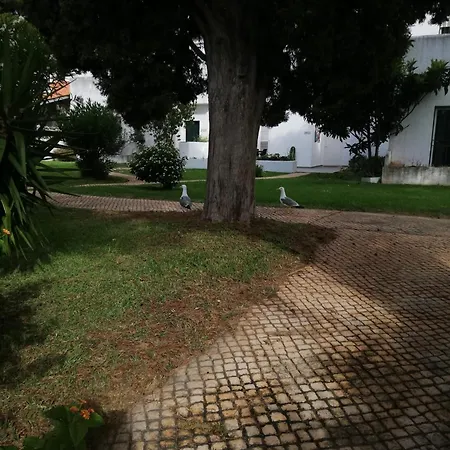 Alecrim Vilamoura